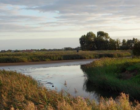 Friedrichskoog