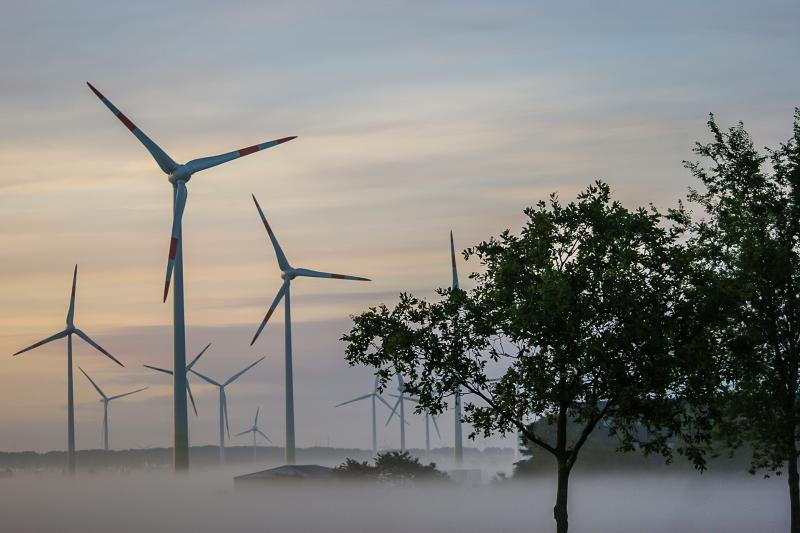 Morgennebel
