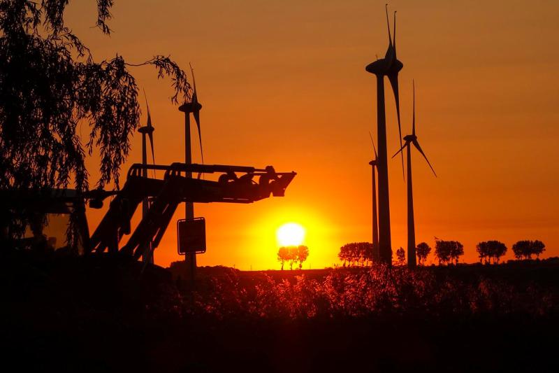 Windräder in Friedrichskoog