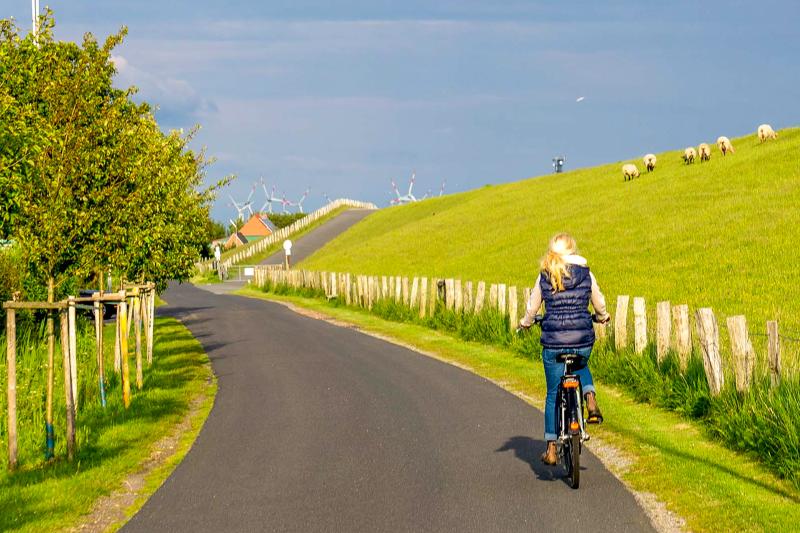 Friedrichskoog