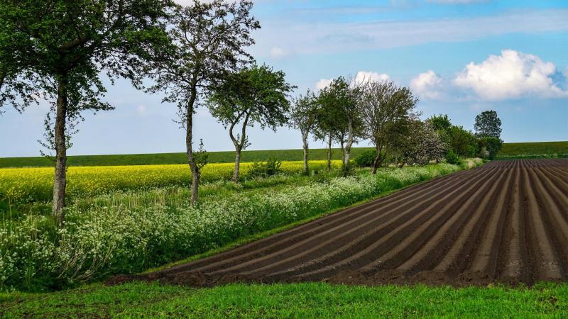 Landschaft&Natur