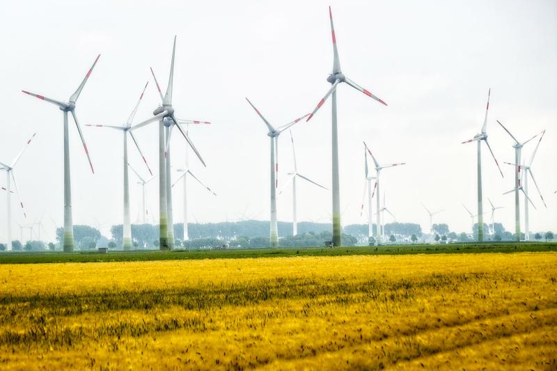 Windräder in Friedrichskoog