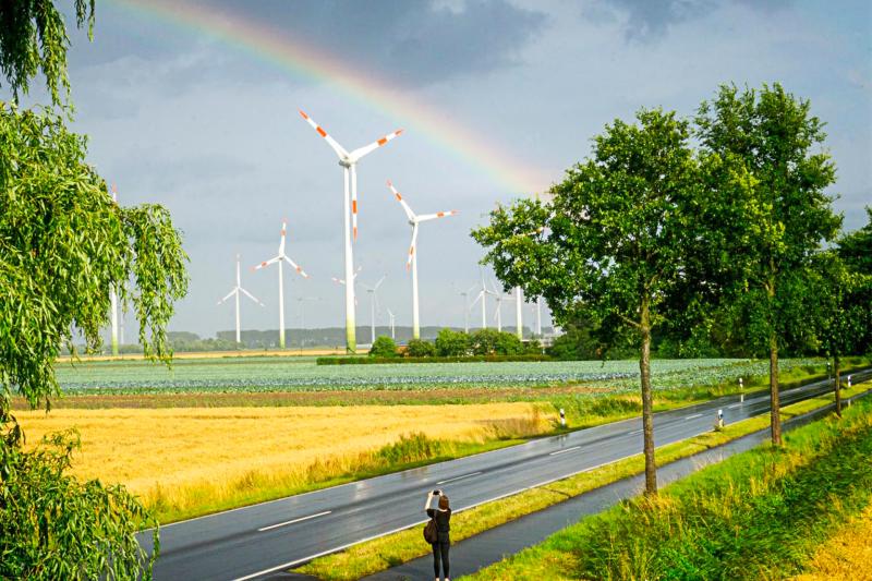 Windräder in Friedrichskoog