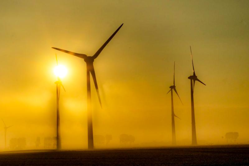 Windräder in Friedrichskoog