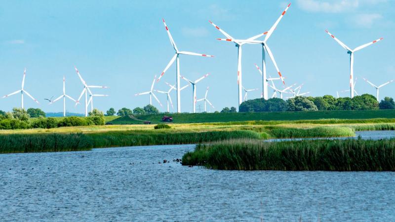 Windräder in Friedrichskoog