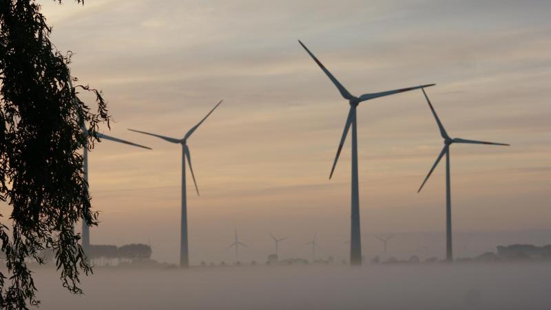 Windräder in Friedrichskoog