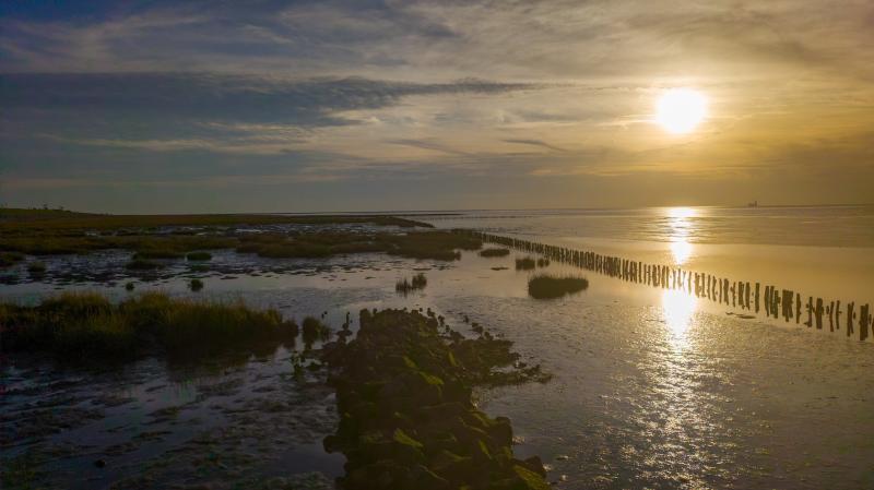 An der Spitze Friedrichskoog