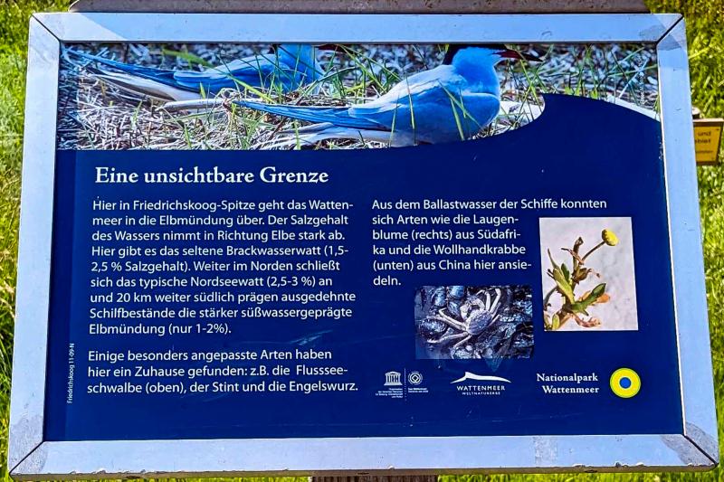 Eine unsichtbare Grenze