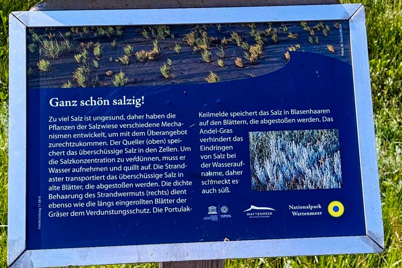 Ganz schön salzig