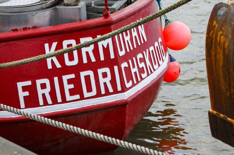 Hafen Friedrichskoog