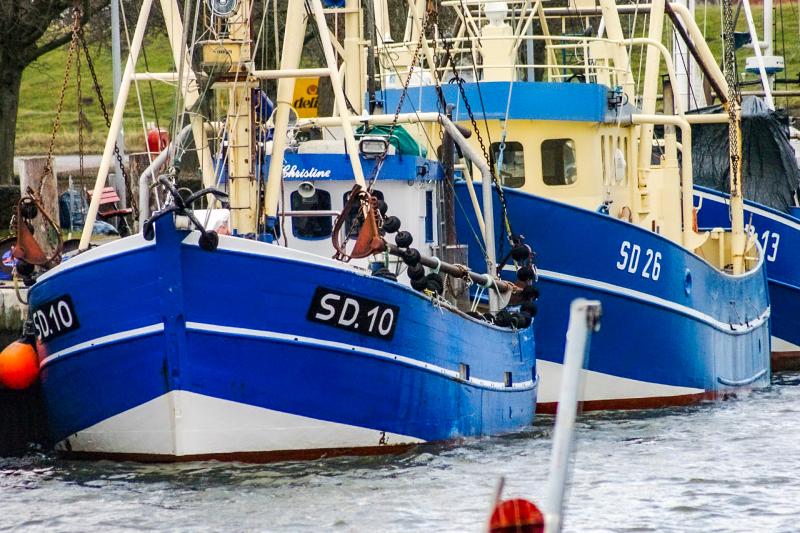 Hafen Friedrichskoog