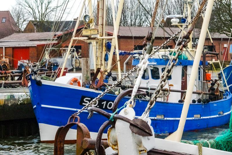 Hafen Friedrichskoog