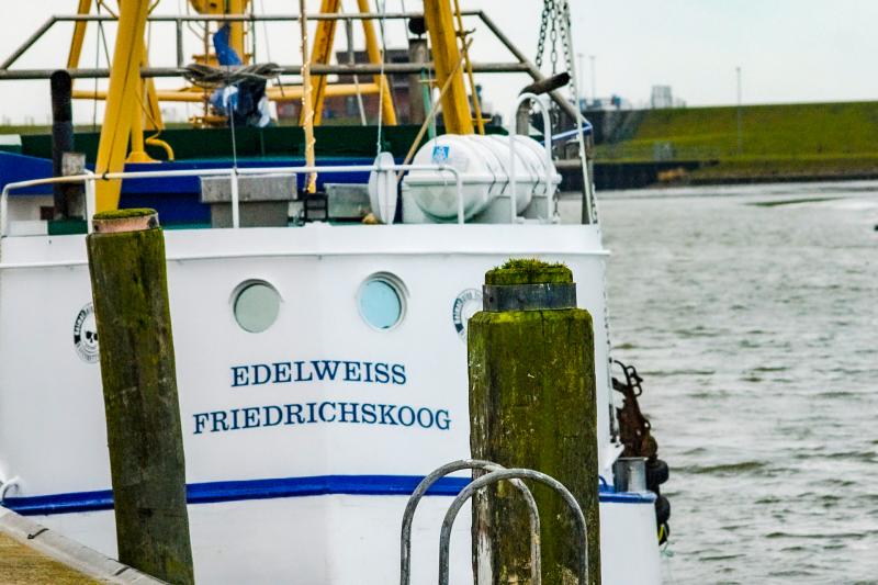 Hafen Friedrichskoog