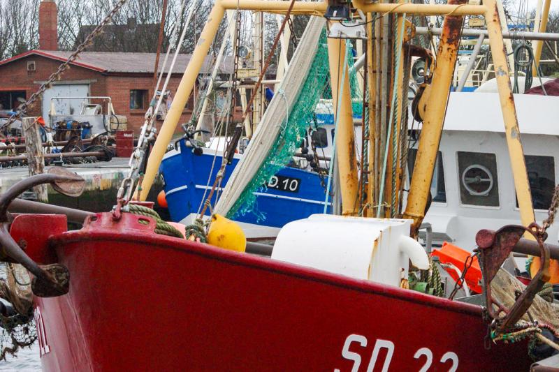 Hafen Friedrichskoog