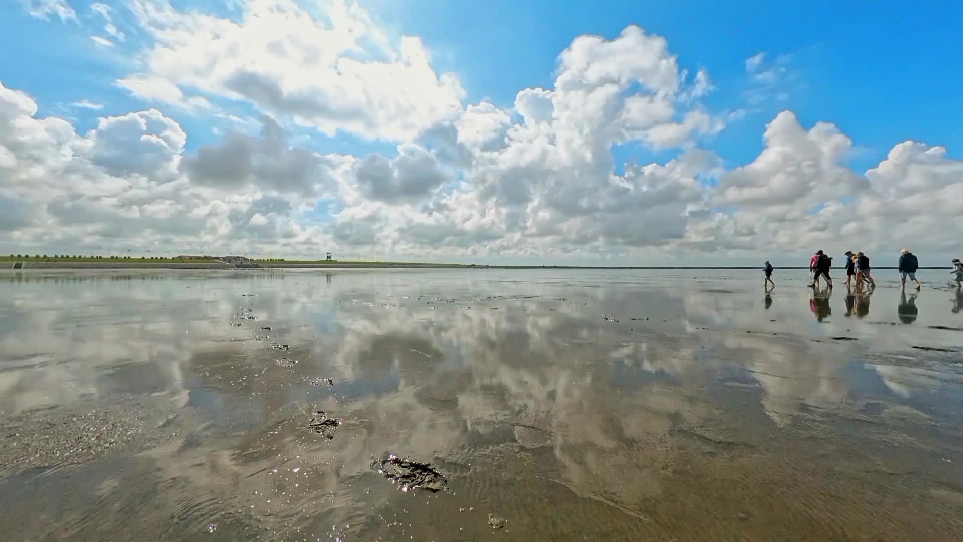 Wattwandern an der Spitze Friedrichskoog
