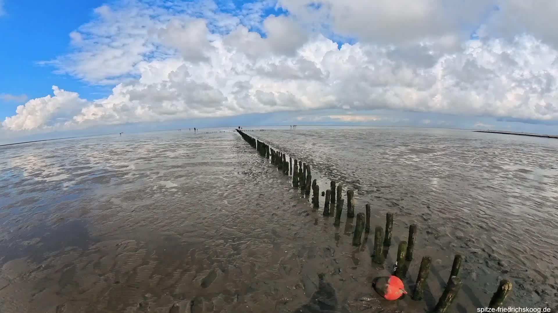 Spitze Friedrichskoog, wie im Himmel