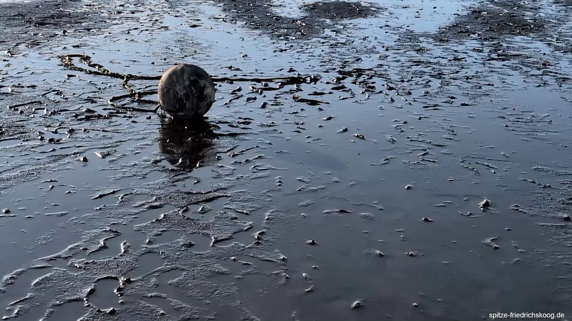 Boje am Strand von Friedrichskoog