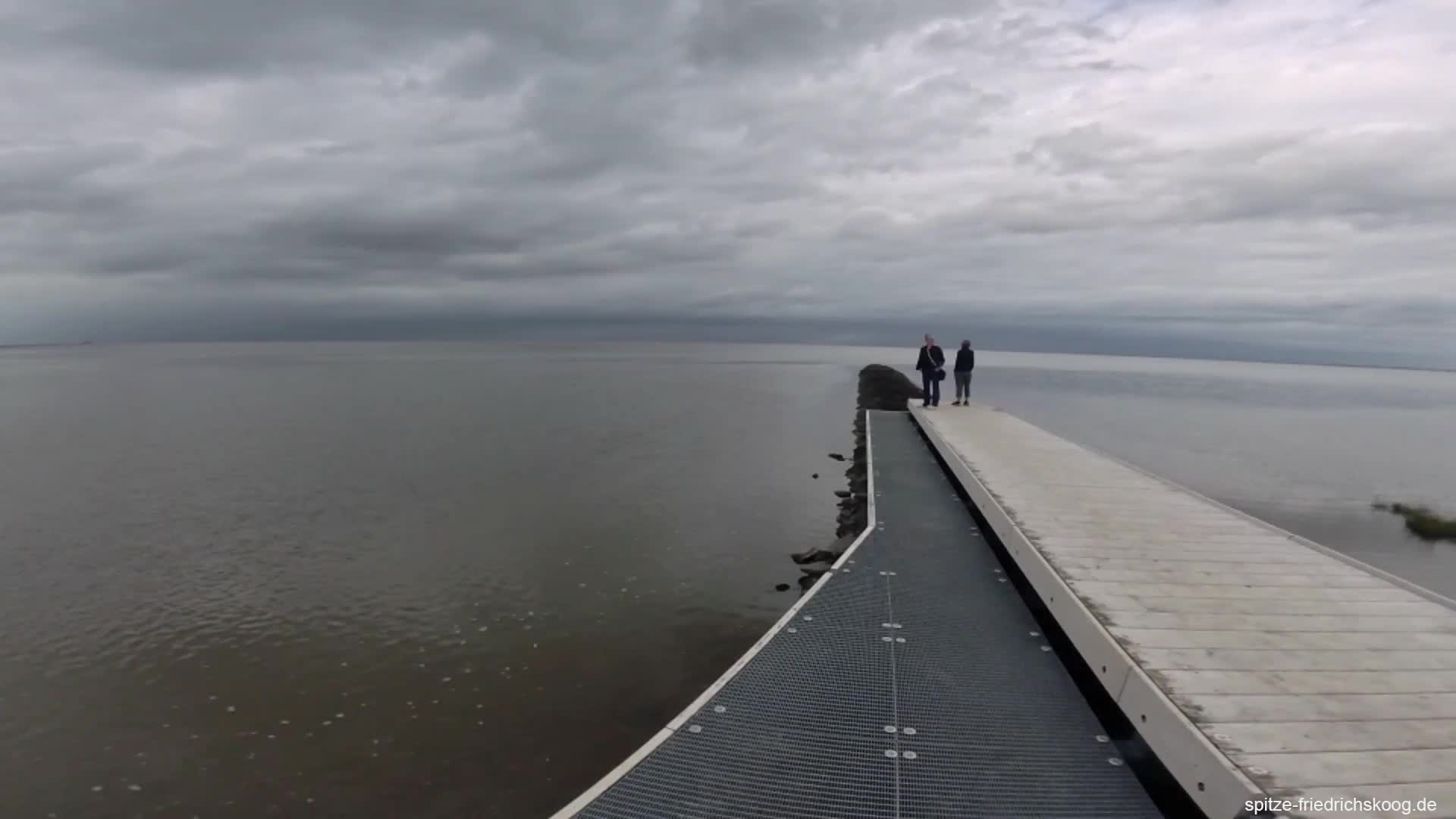 Nordbuhne am Hundestrand in Friedrichskoog