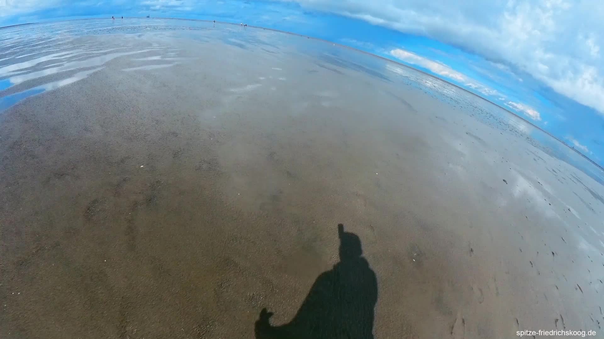 Komm mit mir ins Wattenmeer