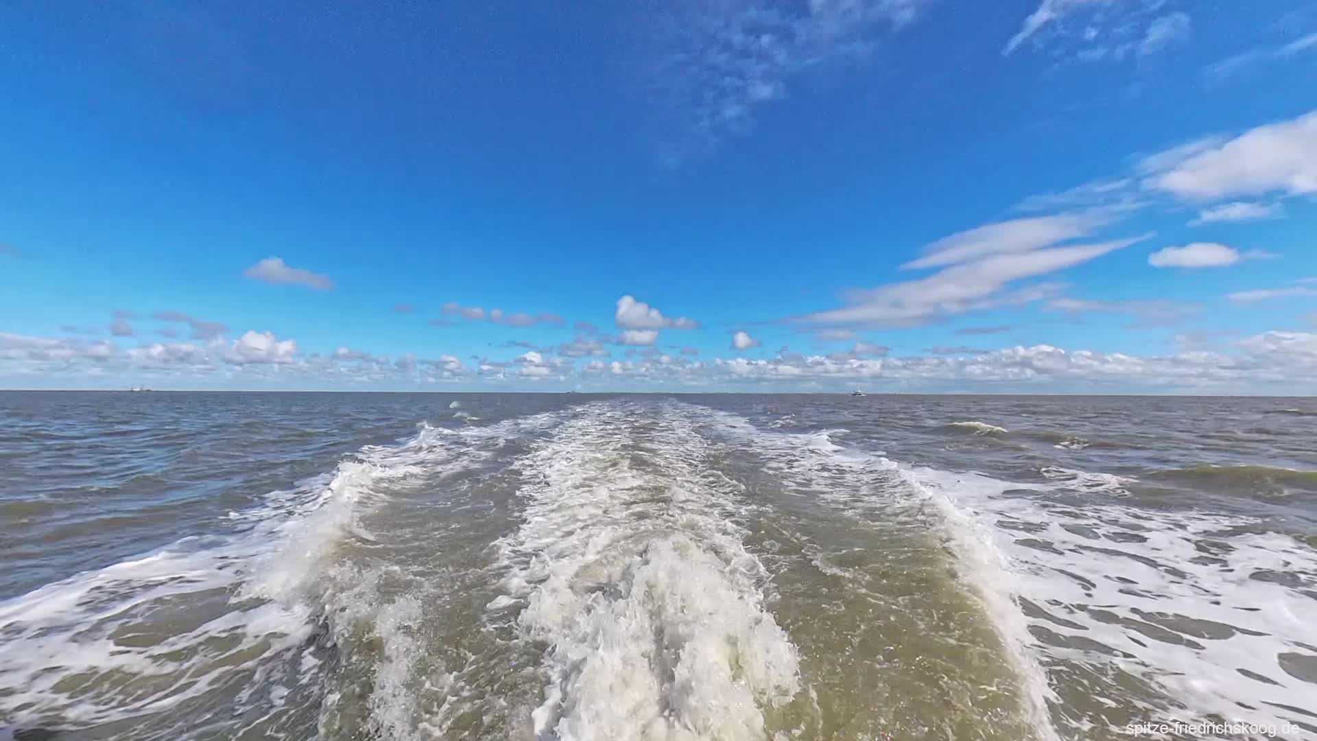 Fahrt zu den Seehundbänken