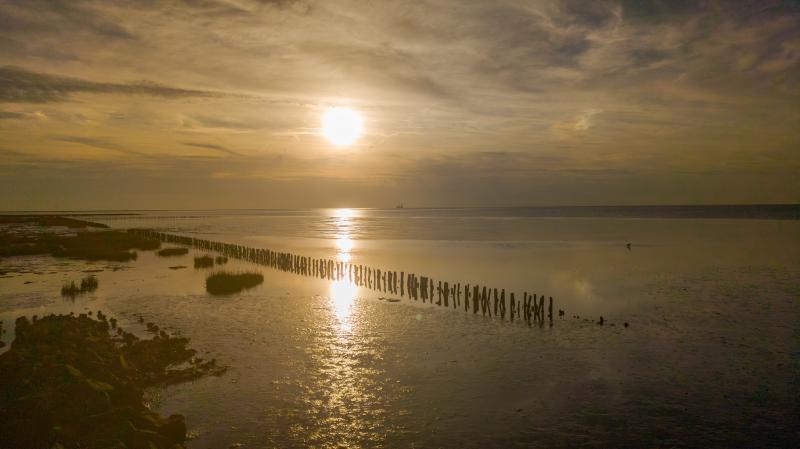Sonnenuntergang an der Spitze Friedrichskoog