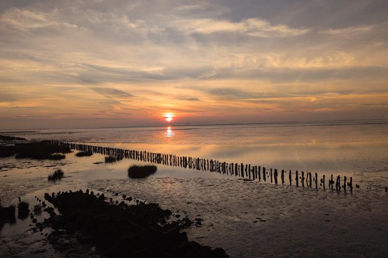 Sonnenuntergang Spitze Friedrichskoog