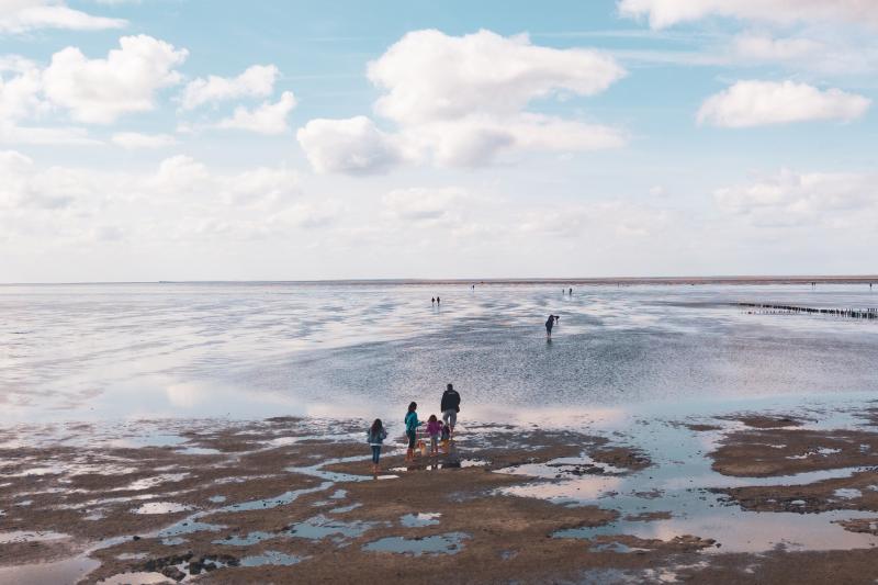 Wattwandern an der Spitze Friedrichskoog