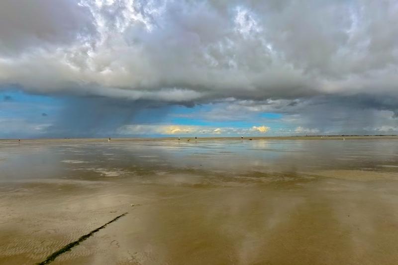 Wattwanderung an der Spitze Friedrichskoog