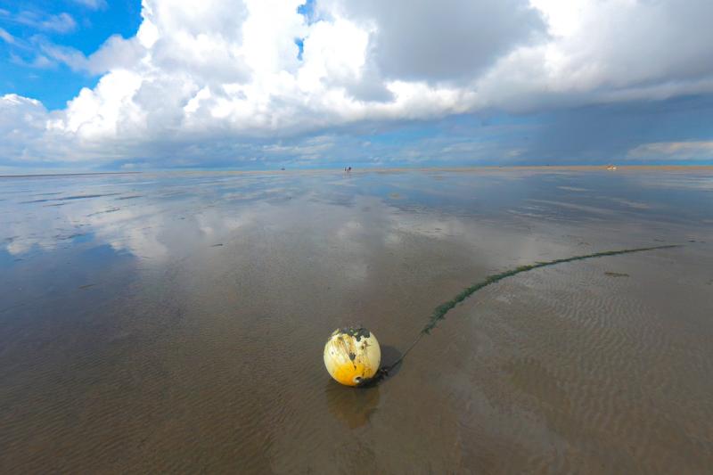 Verankerungsboje an der Spitze Friedrichskoog