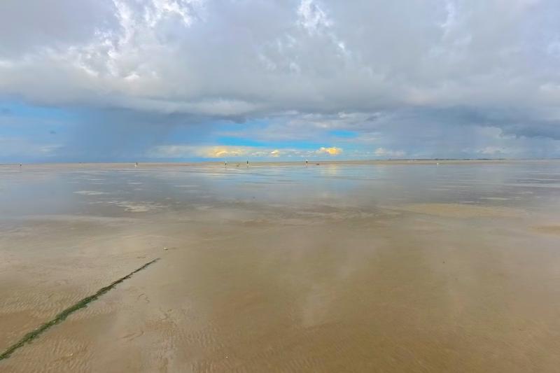 Wattwanderung an der Spitze Friedrichskoog